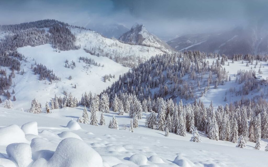 Mount Baldy winter