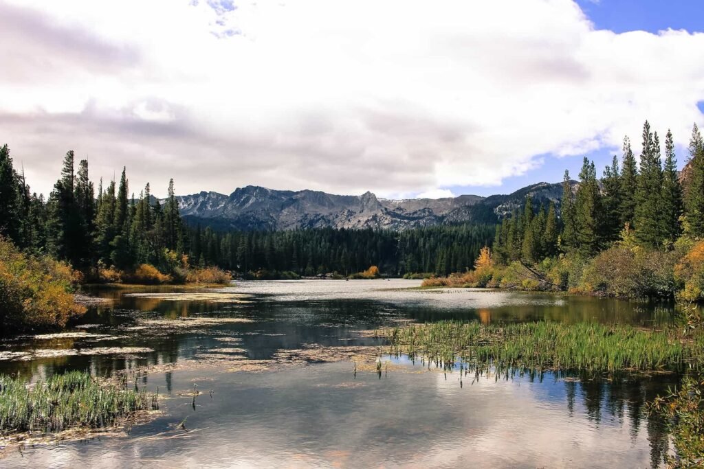 Mammoth Lakes winter