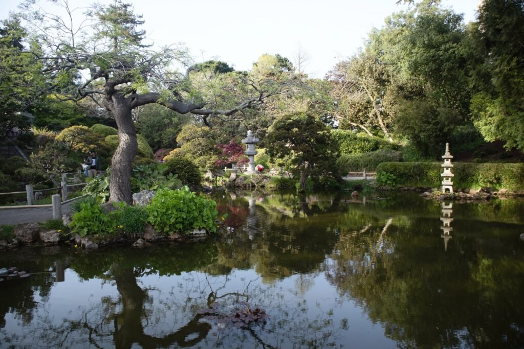 the San Francisco Botanical Garden